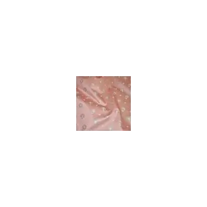 Antoine d'Albiousse - Surat | Susty