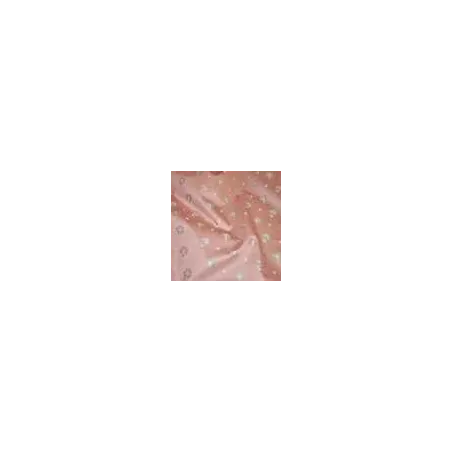 Antoine d'Albiousse - Surat | Susty
