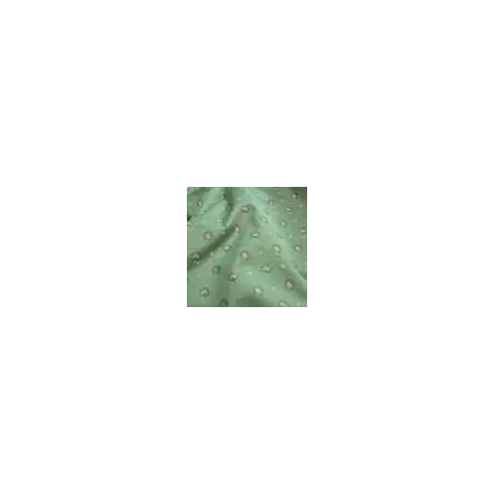 Antoine d'Albiousse - Surat | Susty