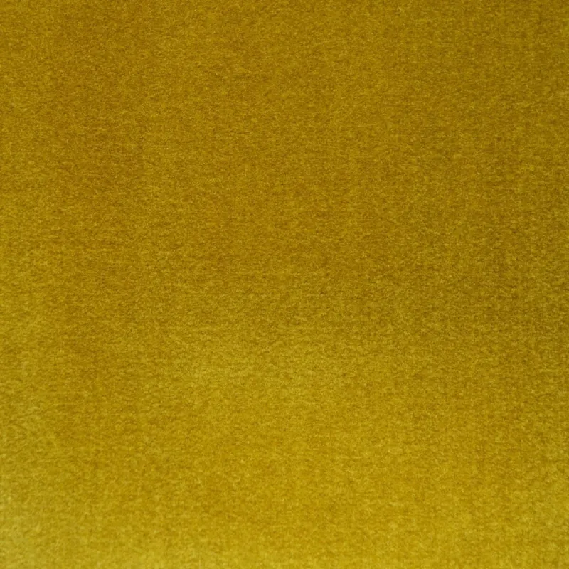 Antoine d'Albiousse - Opéra | Susty