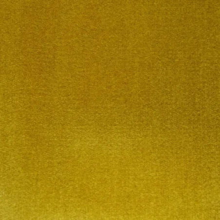 Antoine d'Albiousse - Opéra | Susty