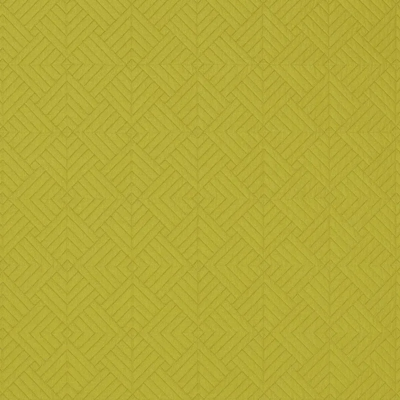 Dedar - NEON col.6 carambole | Susty