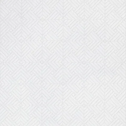 Dedar - NEON col.2 blanc coco | Susty