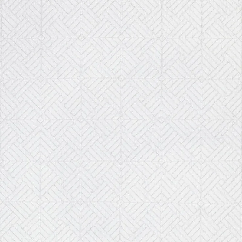 Dedar - NEON col.2 blanc coco | Susty