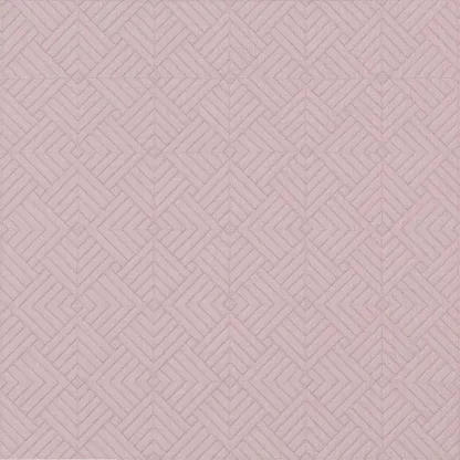 Dedar - NEON col.4 rose intime | Susty