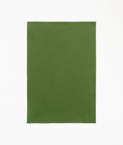 Dedar - APLOMB col.19 kiwi | Susty