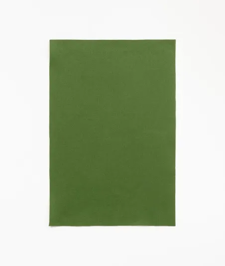 Dedar - APLOMB col.19 kiwi | Susty