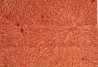 Tissus au mètre - Toile lin viscose imprimée CHAMAN | Susty