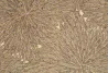 Tissus au mètre - Toile lin viscose imprimée CHAMAN | Susty
