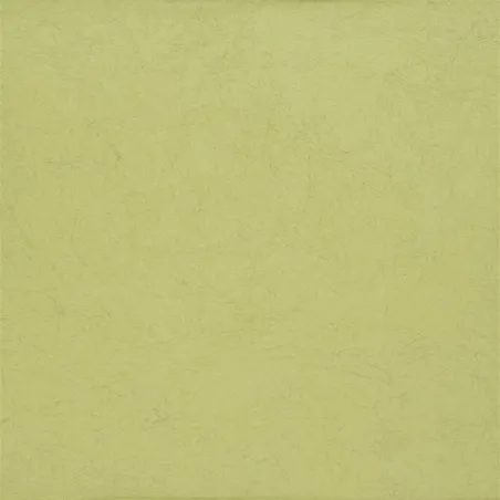 Papier peint - Designers Guild Ernani - Moss | Susty