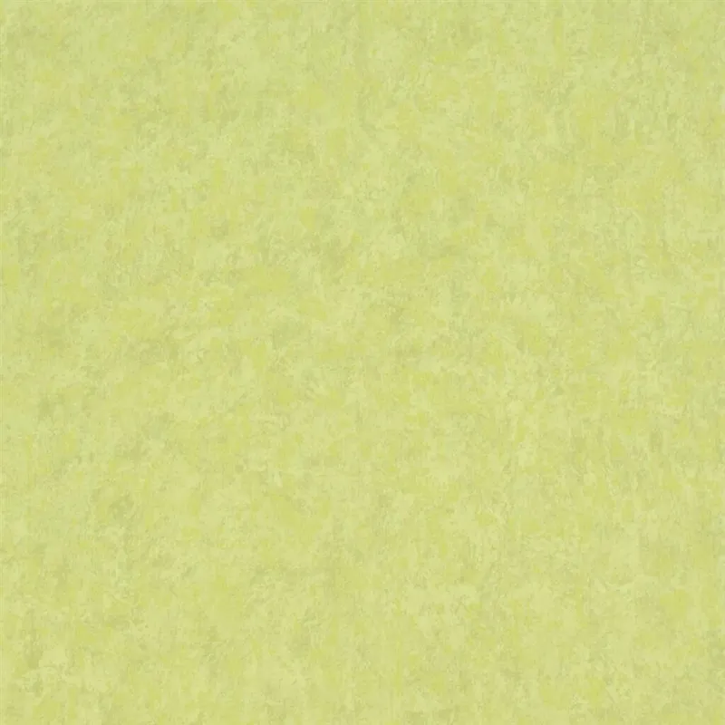 Papier peint - Designers Guild Mayura - Moss | Susty