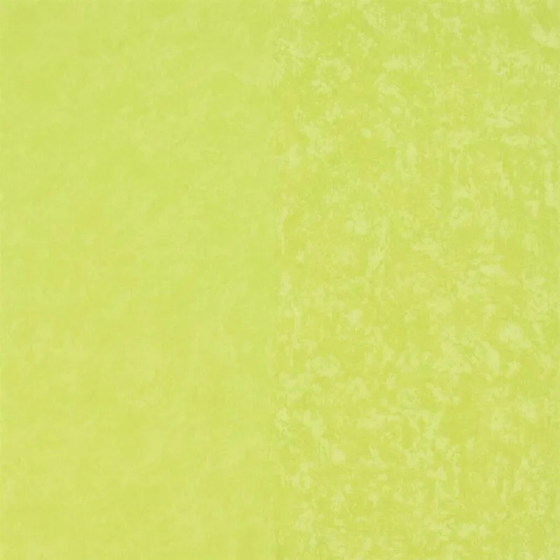 Papier peint - Designers Guild Kalpana - Lime | Susty