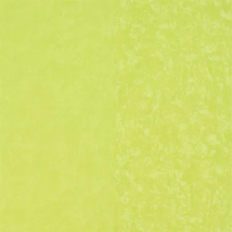 Papier peint - Designers Guild Kalpana - Lime | Susty