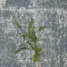 Papier peint - Designers Guild Saru - Graphite | Susty