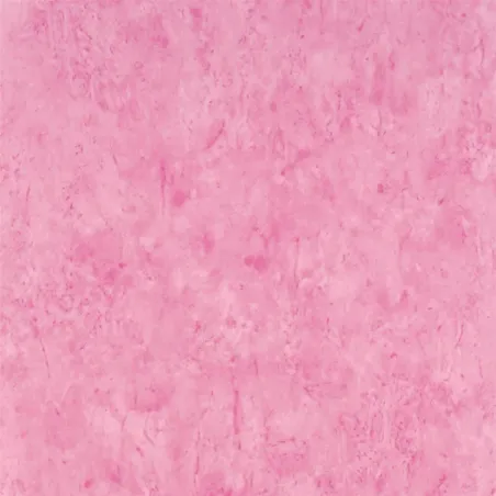 Papier peint - Designers Guild Ellora - Blossom | Susty