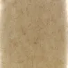 Papier peint - Designers Guild Ellora - Bronze | Susty