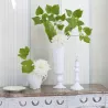 Papier peint - Designers Guild Fitzwilliam - Crocus | Susty