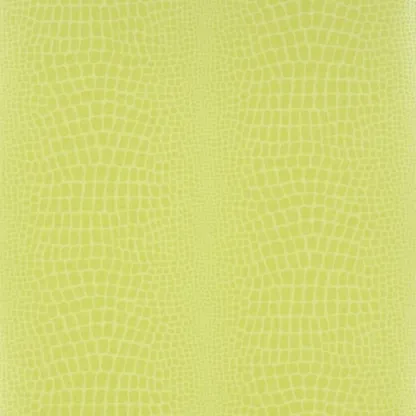 Papier peint - Designers Guild Pietra - Grass | Susty