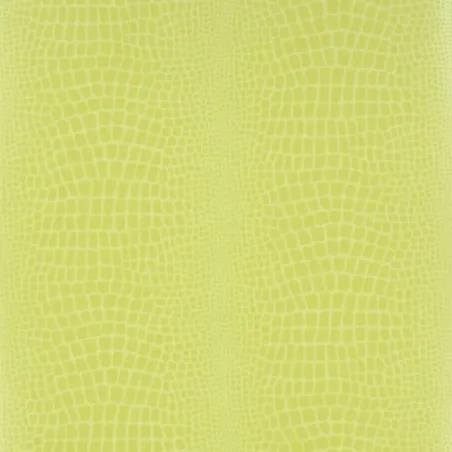 Papier peint - Designers Guild Pietra - Grass | Susty