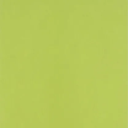 Papier peint - Designers Guild Chichester - Moss | Susty