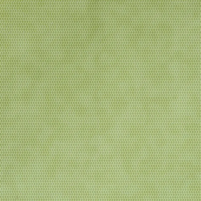 Papier peint - Designers Guild Iribe - Pistachio | Susty