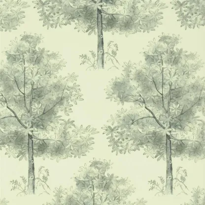 Papier peint - Designers Guild Arboretum - Slate | Susty