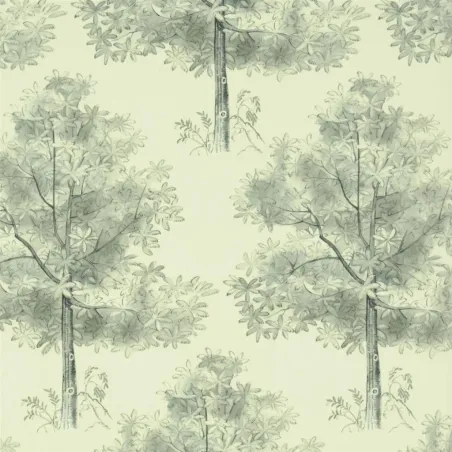 Papier peint - Designers Guild Arboretum - Slate | Susty