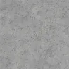 Papier peint - Designers Guild Celestine - Graphite | Susty