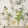 Papier peint - Designers Guild Wharton - Champagne | Susty