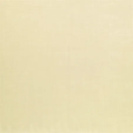Designers Guild - Bernine - Parchment | Susty