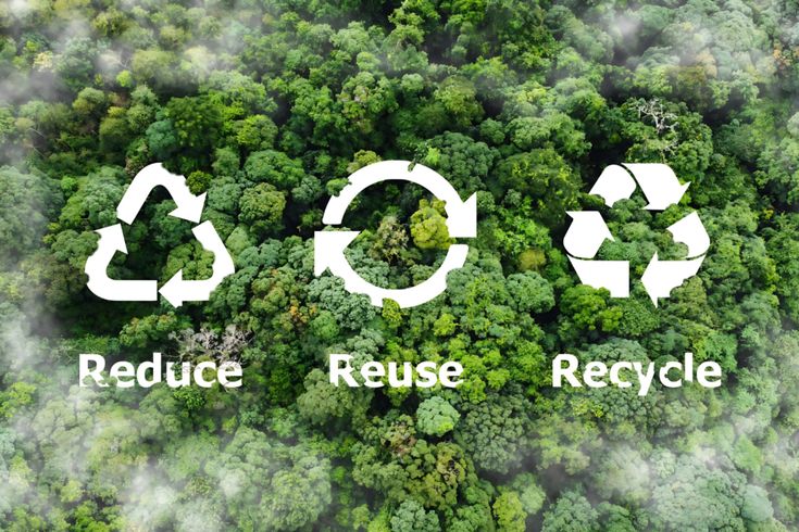 Chaque geste compte : vers une décoration intérieure durable et inspirante