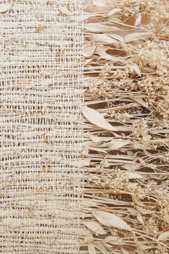 Le chanvre : la fibre naturelle qui tisse un avenir durable
